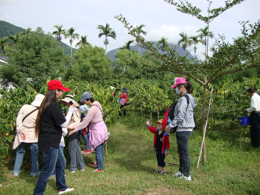 Taroko Sialin Coffee Farm Homestay Xiulin Exteriér fotografie
