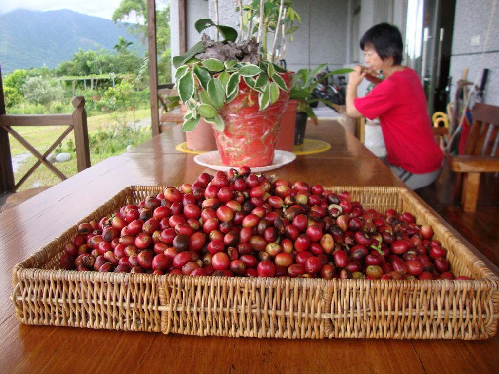Taroko Sialin Coffee Farm Homestay Xiulin Exteriér fotografie
