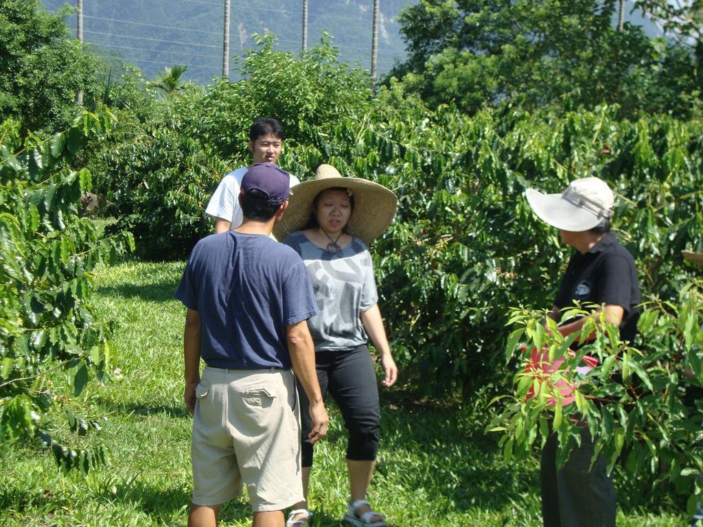 Taroko Sialin Coffee Farm Homestay Xiulin Exteriér fotografie